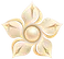 PENTA Pearls